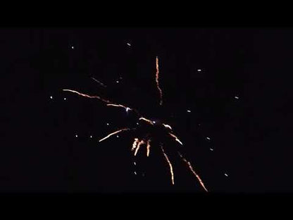 Fall From Grace by Brothers Pyrotechnics