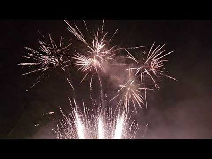 Infamous by Brothers Pyrotechnics